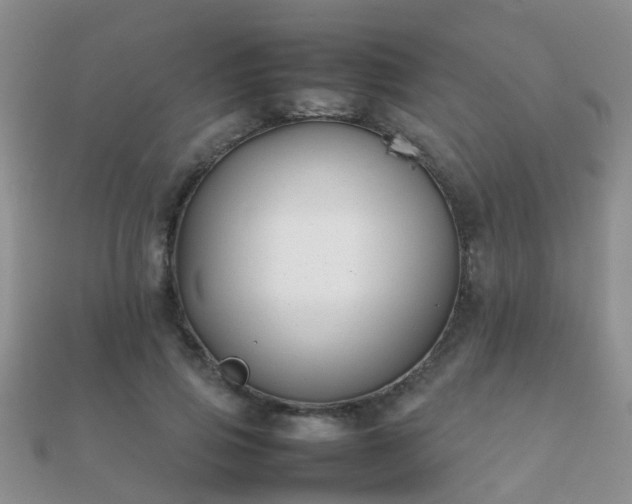 X0000112070741200908111433