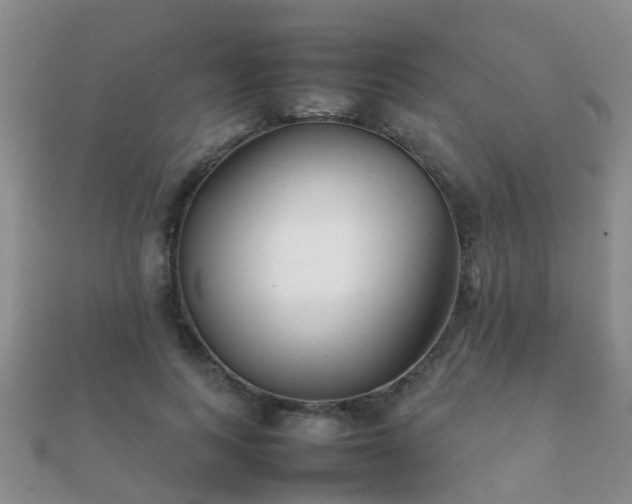 X0000112070743200908111433