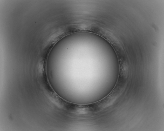 X0000112070746200908111433