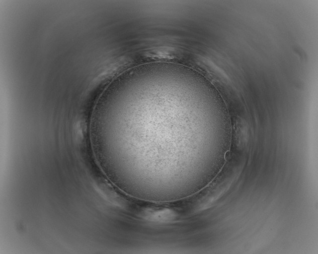 X0000112070747200908111433