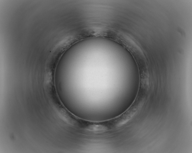 X0000112070748200908111433