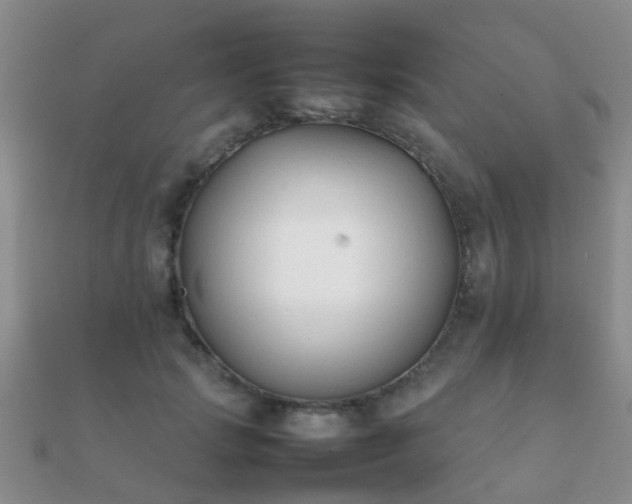 X0000112070749200908111433