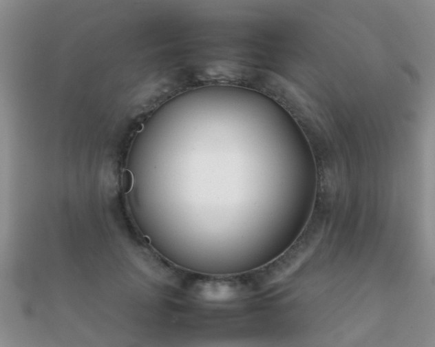 X0000112070751200908111433