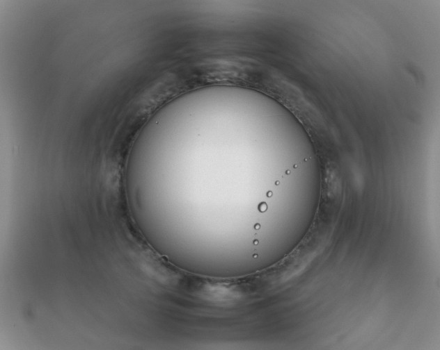 X0000112070753200908111433