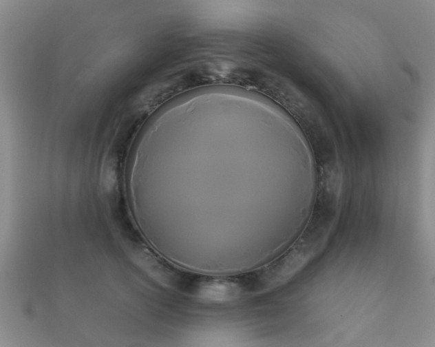 X0000112070754200908111433