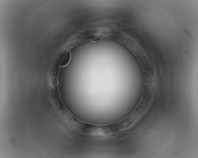 X0000112070755200908111433