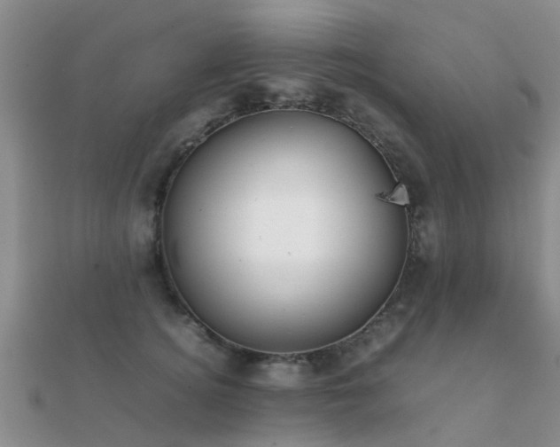 X0000112070756200908111433