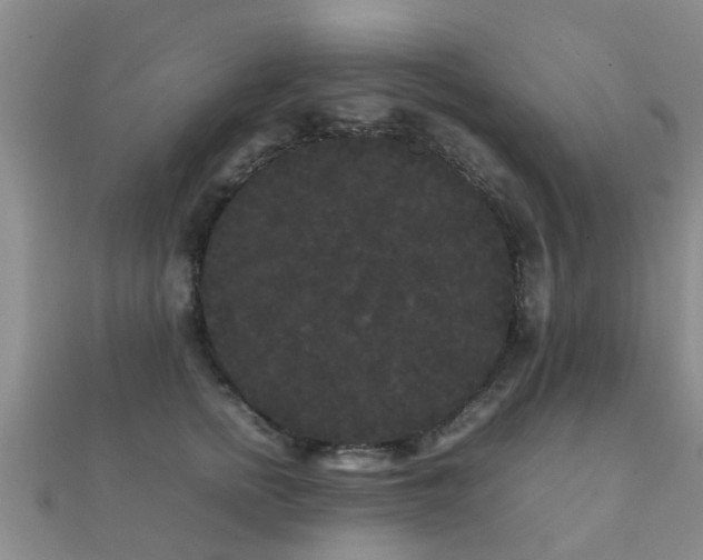 X0000112070758200908111433