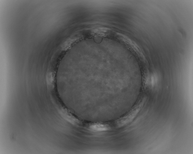 X0000112070759200908111433