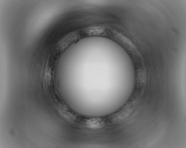 X0000112070761200908111433