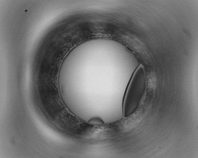 X0000112070764200908111433