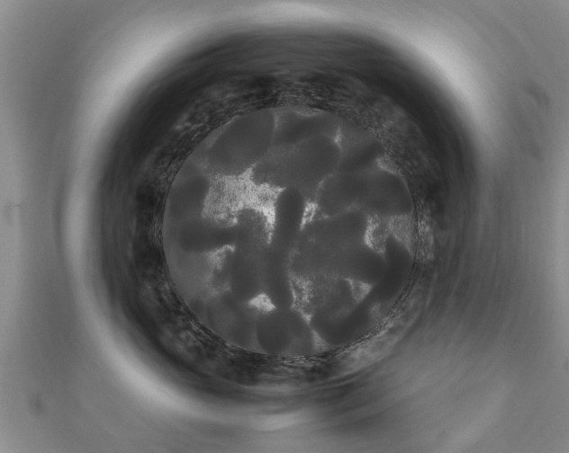 X0000112070765200908111433