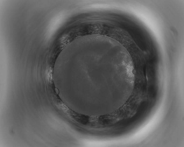 X0000112070766200908111433