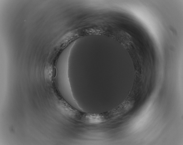 X0000112070767200908111433