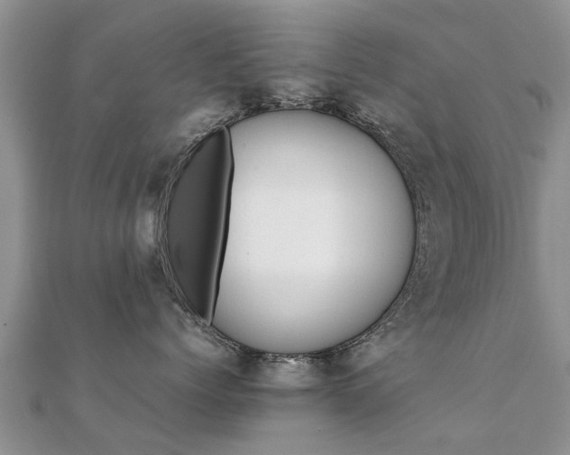 X0000112070768200908111433