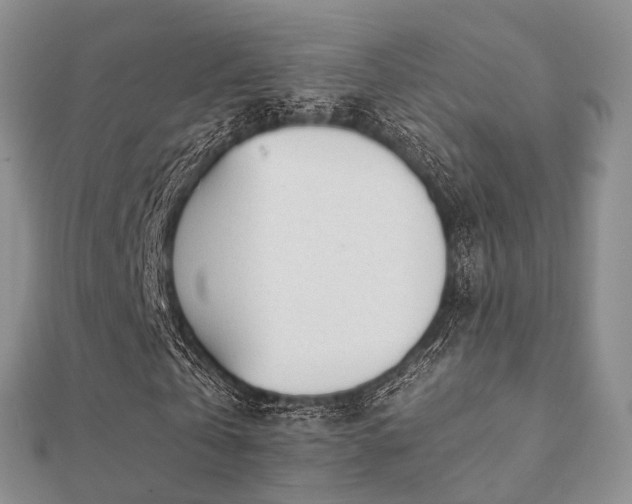 X0000112070769200908111432