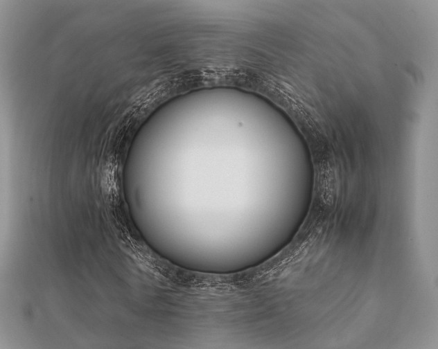 X0000112070770200908111432