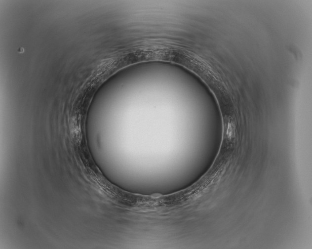 X0000112070771200908111432