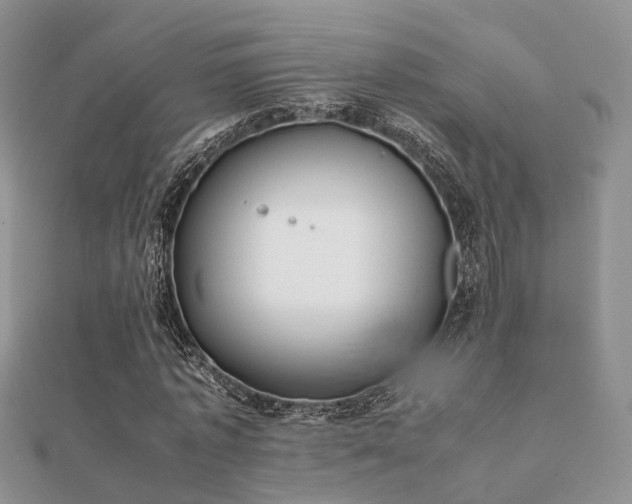 X0000112070773200908111432