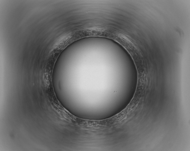 X0000112070774200908111432