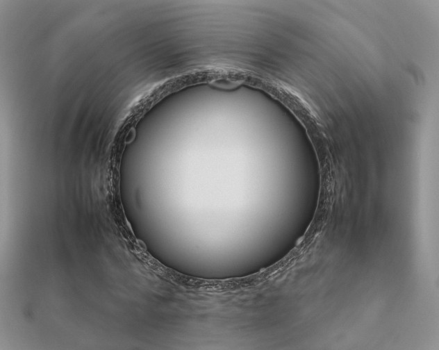 X0000112070776200908111432