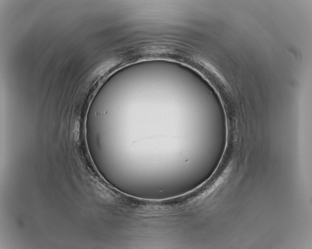 X0000112070777200908111432