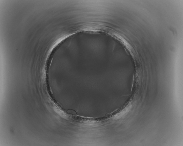 X0000112070779200908111432