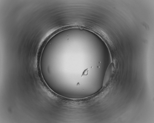 X0000112070780200908111432