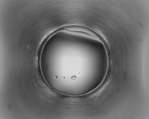 X0000112070781200908111432