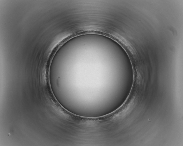 X0000112070782200908111432