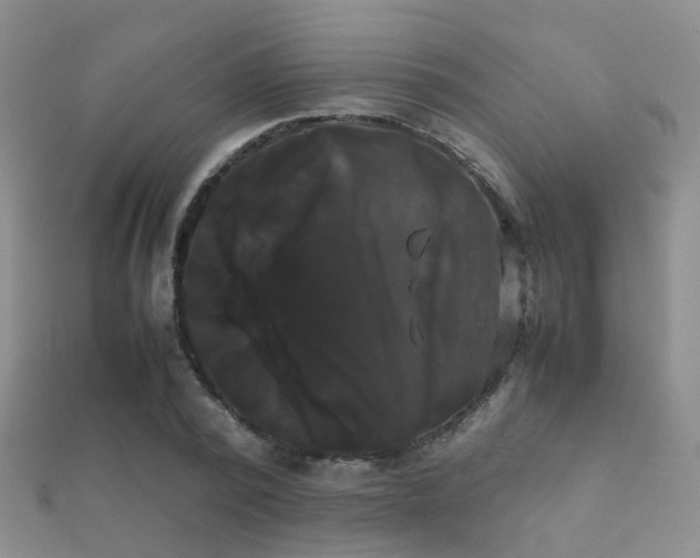 X0000112070784200908111432