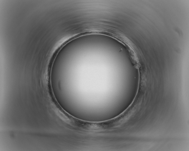 X0000112070787200908111432