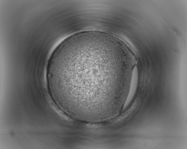 X0000112070788200908111432