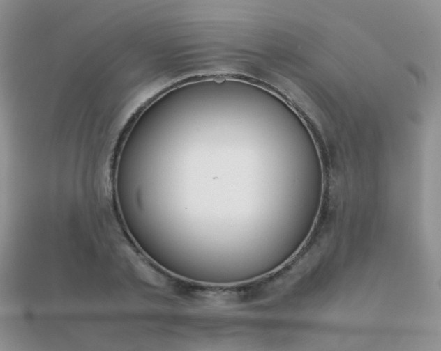 X0000112070789200908111432