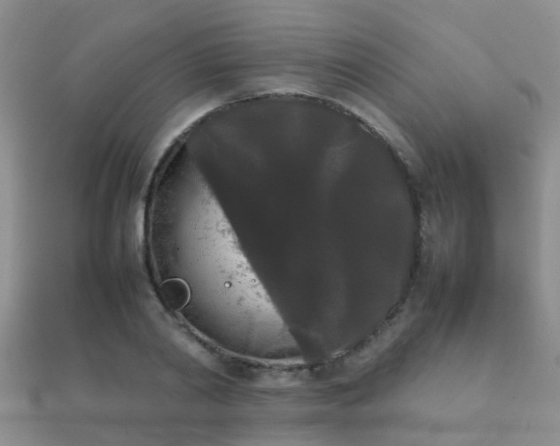 X0000112070790200908111432