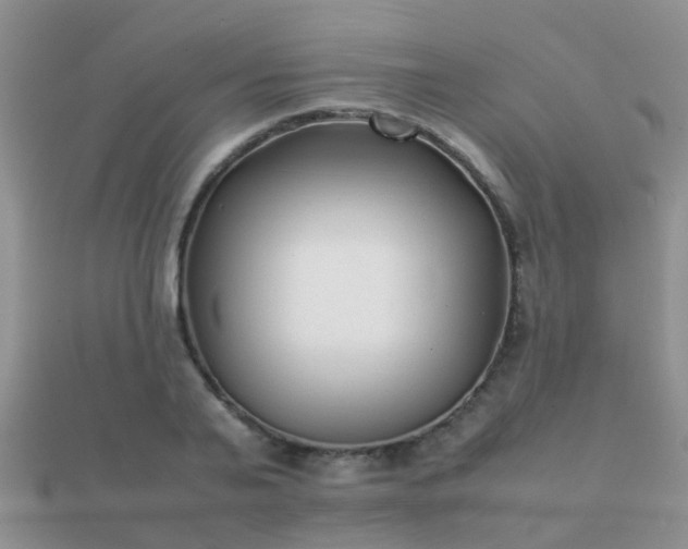 X0000112070791200908111432