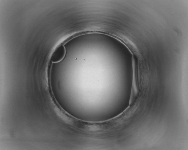 X0000112070792200908111432