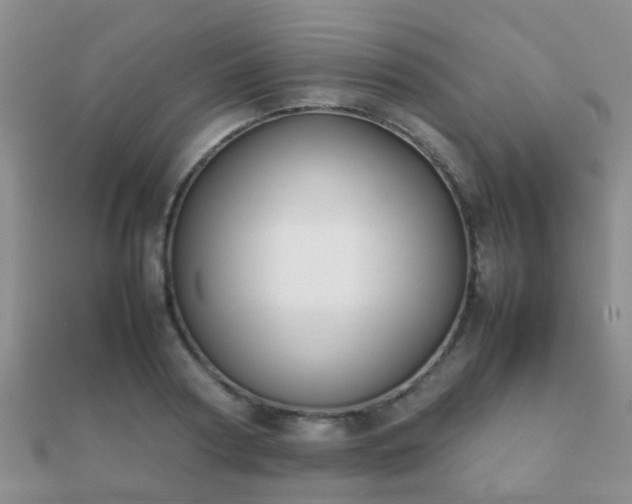 X0000112070794200908111432