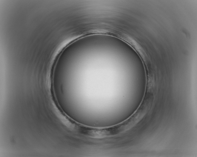 X0000112070795200908111432