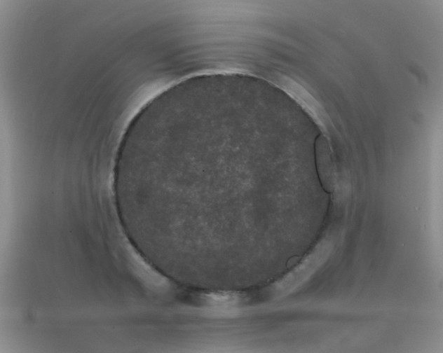 X0000112070797200908111432