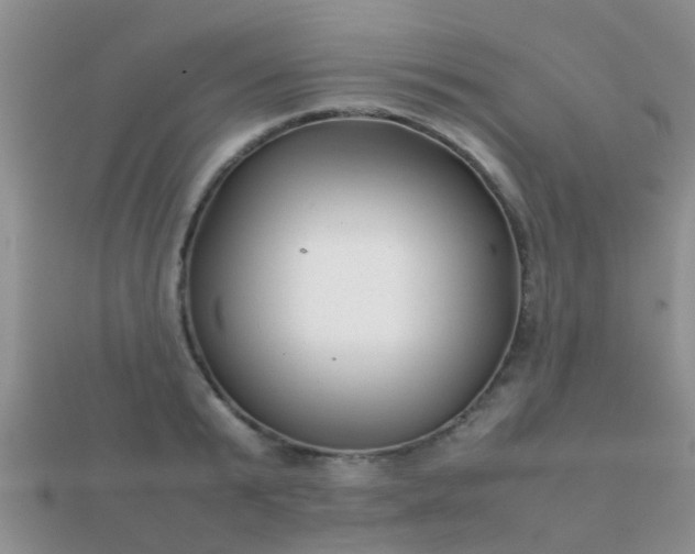 X0000112070799200908111432