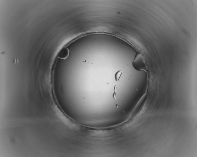 X0000112070800200908111432