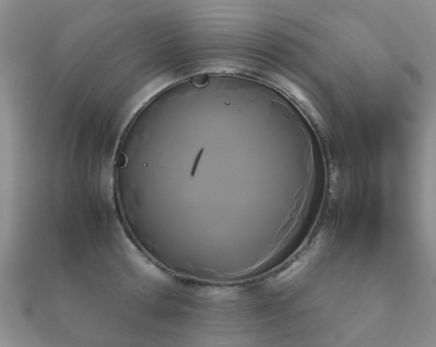 X0000112070802200908111432