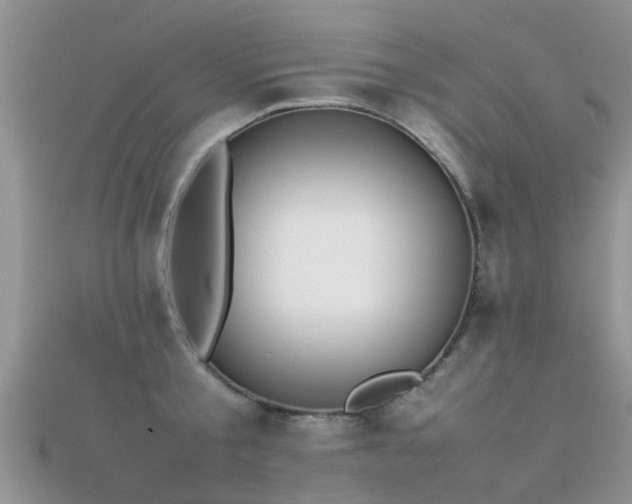 X0000112070805200908111432