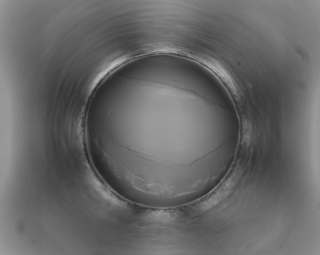 X0000112070806200908111432