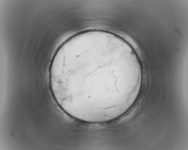 X0000112070807200908111432