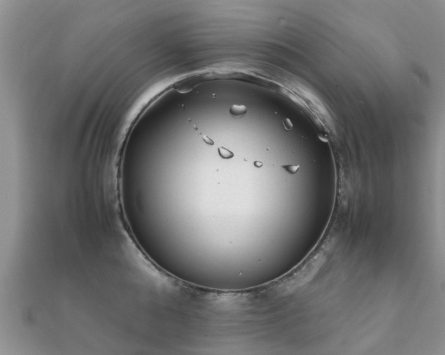 X0000112070808200908111432