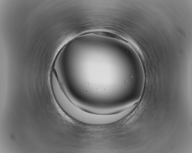 X0000112070813200908111432