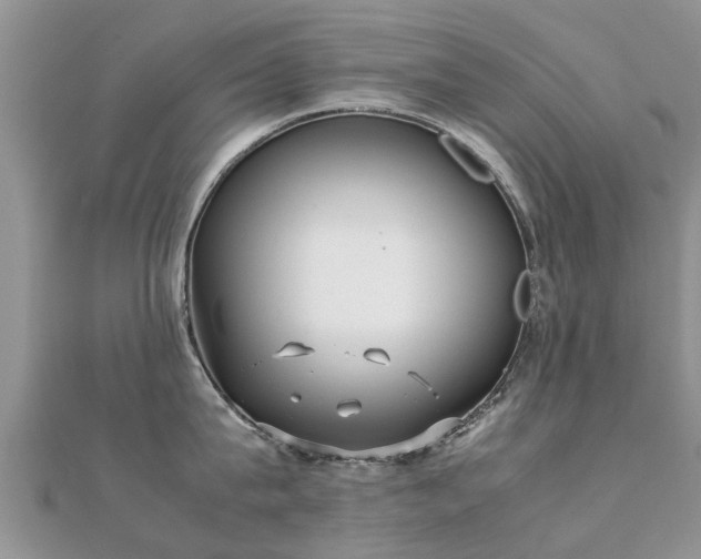 X0000112070815200908111432