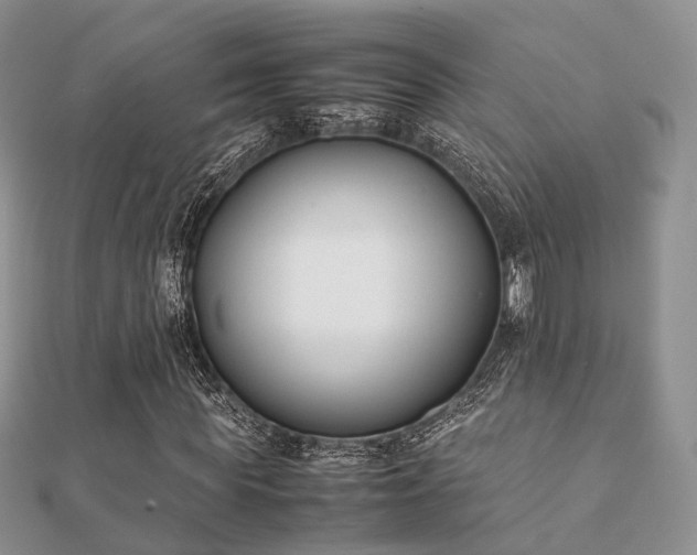 X0000112070819200908111431